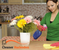 domestic_cleaning1