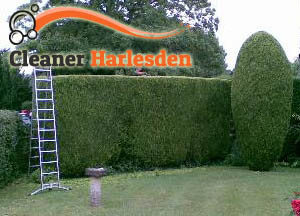 Hedge Maintenance Harlesden