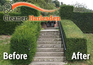 Before and After Hedge Trimming