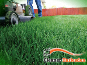 grass-cutting-services-harlesden